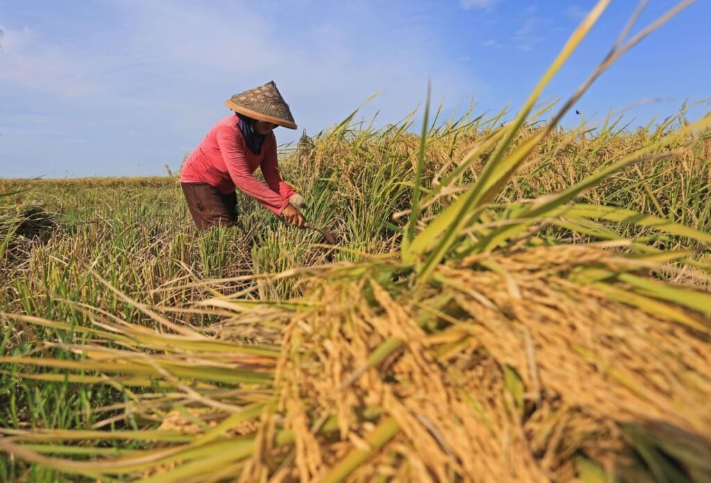 1719183317296_no_name_file